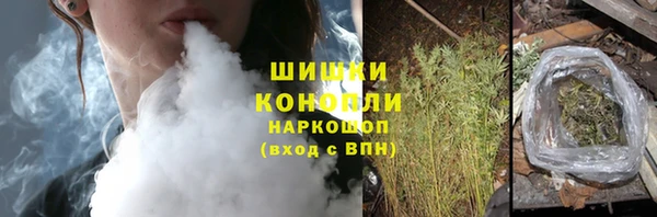 дмт Абаза