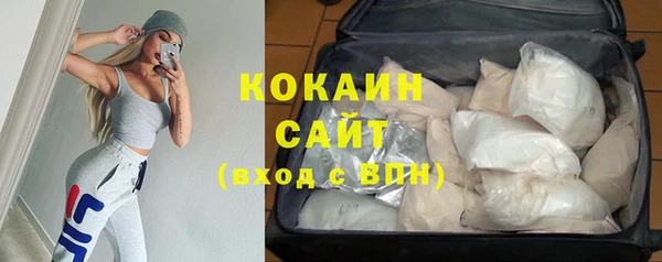 дмт Абаза