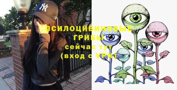 дмт Абаза