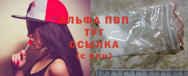 дмт Абаза
