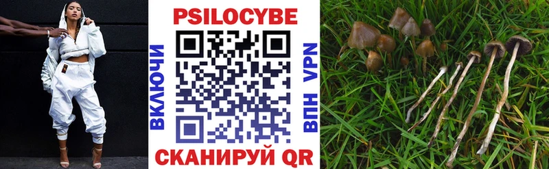 Псилоцибиновые грибы Psilocybe  OMG tor  Адыгейск 